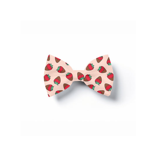 Chocolate Covered Strawberries Pet Bow Tie, Valentines Accessories