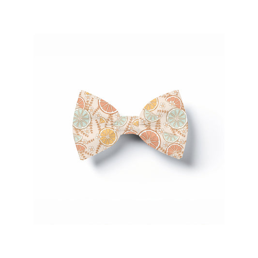 Lemon Print Pet Bow Tie, Over Collar, Boho Neckwear