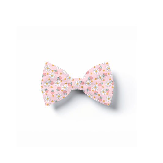 Strawberry Daisy Pet Bow Tie, Over Collar Neckwear