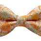 Lemon Print Pet Bow Tie, Over Collar, Boho Neckwear