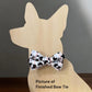 Hockey Pet Bow Tie, Over Collar Dog Bow