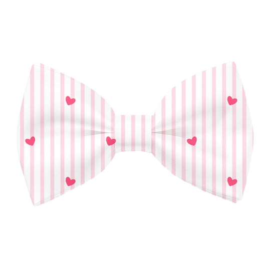 Heart, Cutie Pie, Love, Babe,Valentine, Dog, Cat,Bow Tie, Bow,  Pet Bow Tie, Valentines Accessories