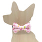 Flamingo, Summer, Pet Bow Tie, Pink Beachy Dog, cat, Bow, Accessories